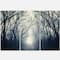 Designart - Dark Autumn Forest in Fog - Photography Canvas Art Print